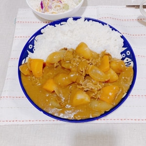 キャンプはカレー！親鶏と新玉ねぎとごぼうのカレー